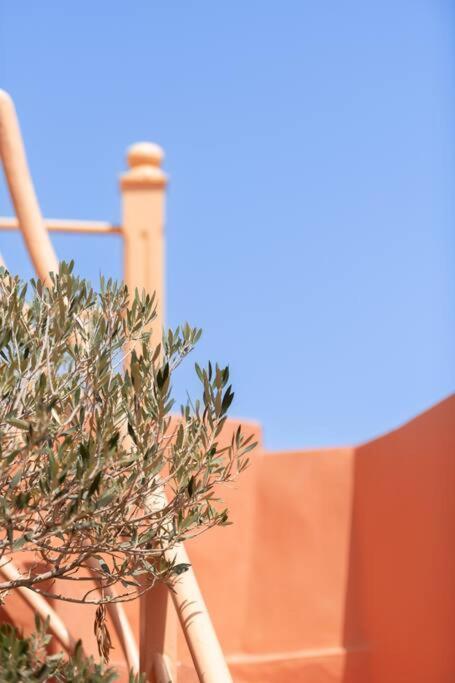 Riad Le Petit Bacha Марракеш Екстер'єр фото